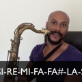Tu découvrira dans cette vidéo la gamme de blues au saxophone plus précisément dans la tonalité de SI. Bon apprentissage amis saxophoniste!!
